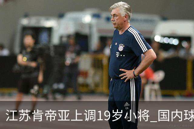 江苏肯帝亚上调19岁小将 国内球员注册达16人